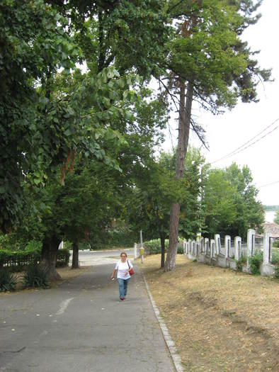 175 Theia in Calafat