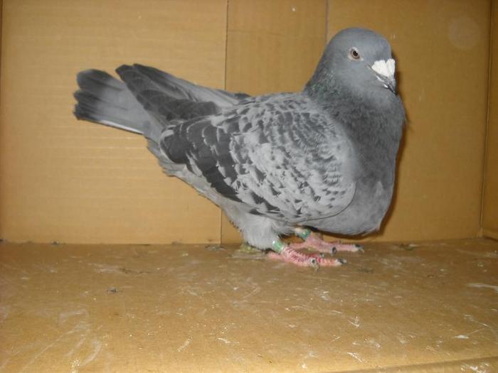 139