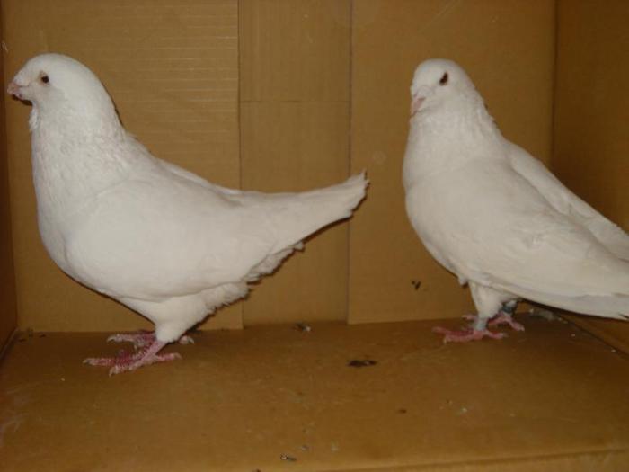 212