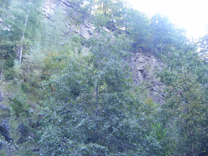 DSCF3699 - Turul muntilor Rodnei 13 sept 2010