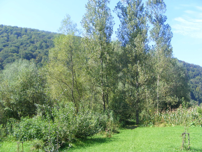 DSCF3744