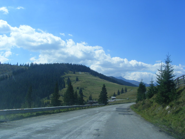DSCF3774