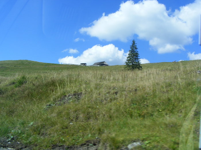 DSCF3776