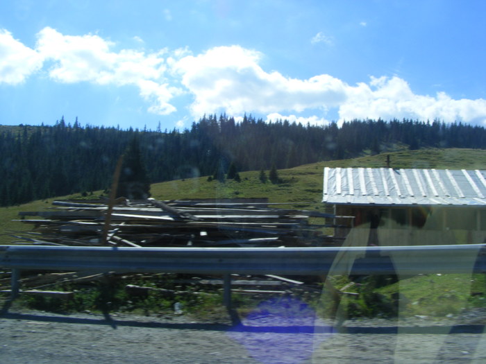 DSCF3777