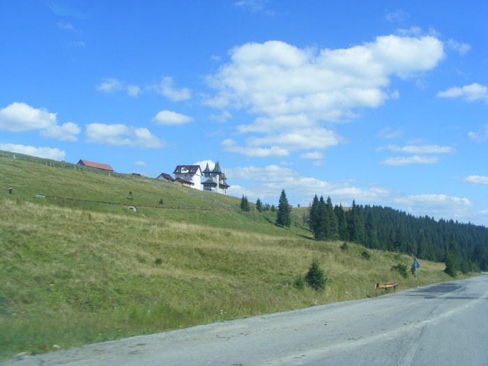 DSCF3778