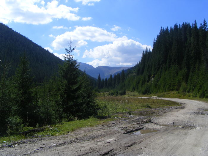 DSCF3787