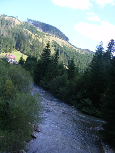 DSCF3798