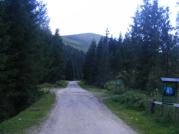 DSCF3800