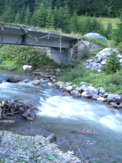 DSCF3804