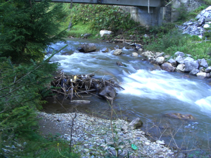 DSCF3805
