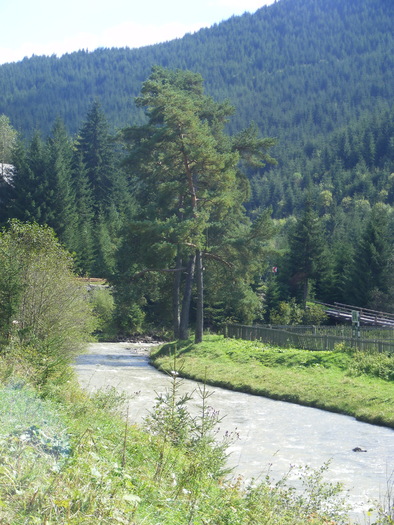 DSCF3826