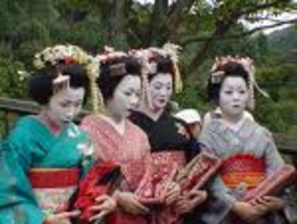 geisha 5