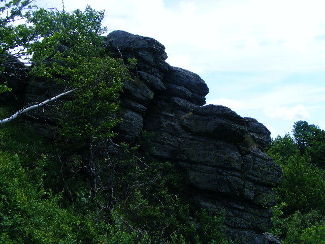 DSCF1946
