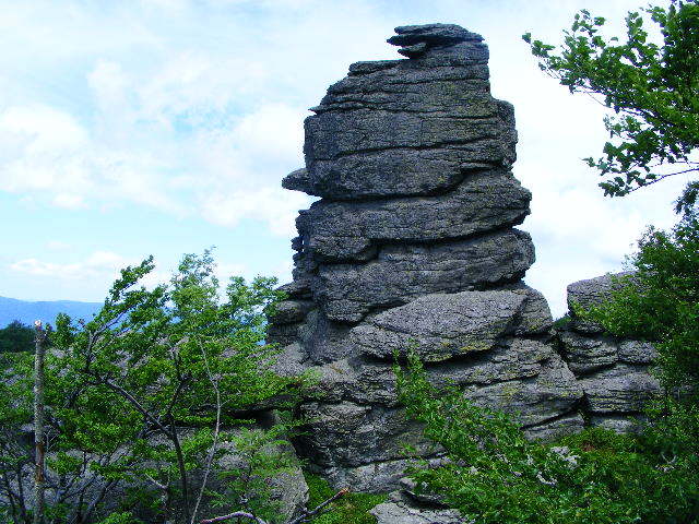 DSCF1950