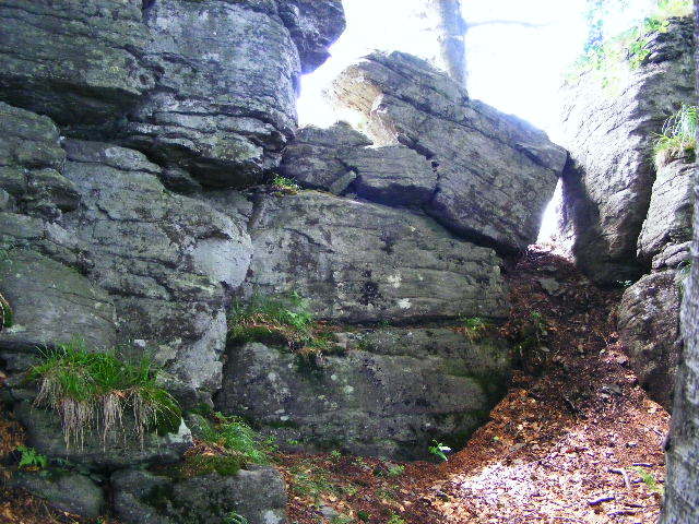 DSCF1956