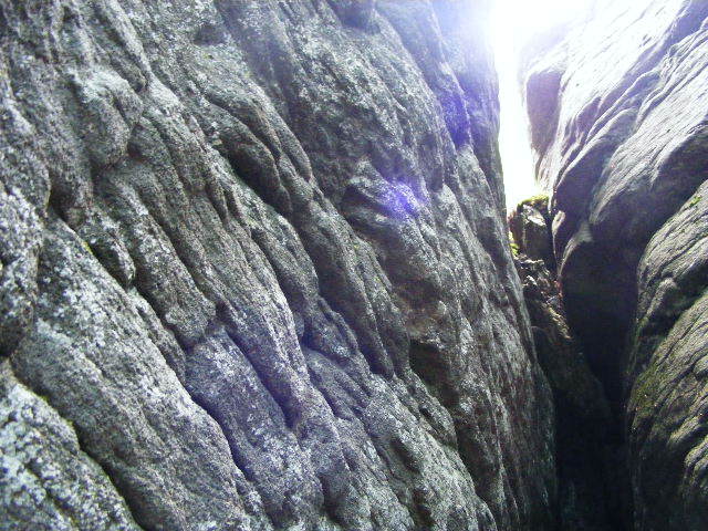 DSCF1960