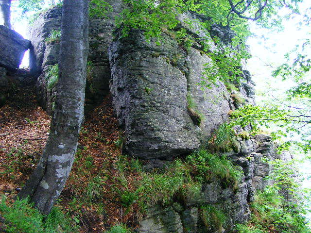 DSCF1963