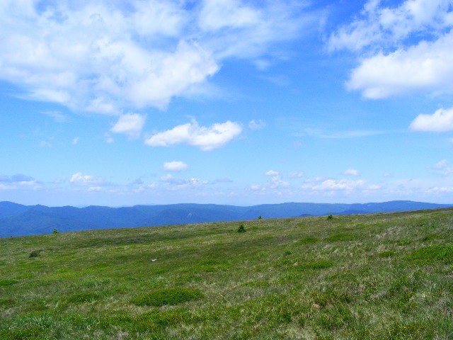 DSCF1968