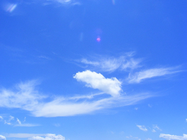DSCF1980