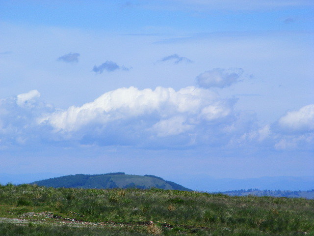 DSCF1981