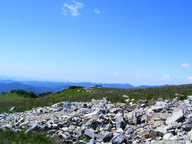 DSCF1982