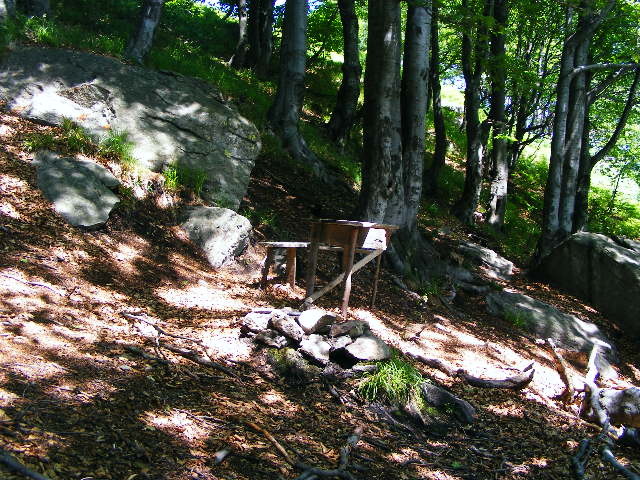 DSCF1991