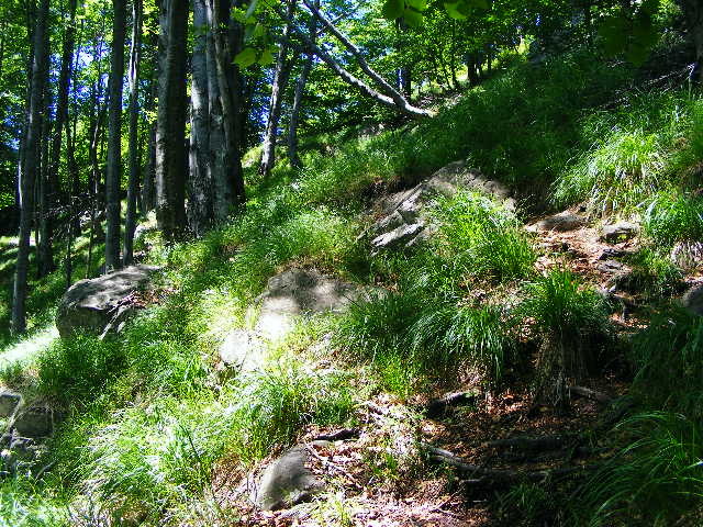 DSCF1995