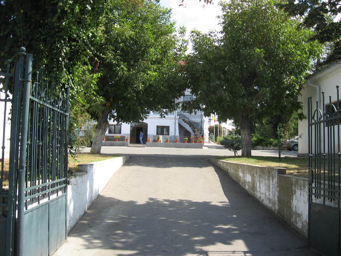 311 Primaria din Calafat