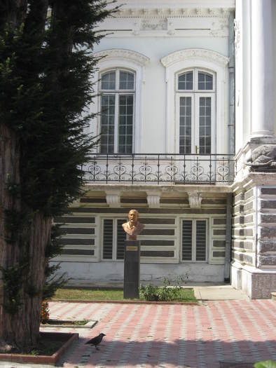 314 Muzeul de arta din Calafat