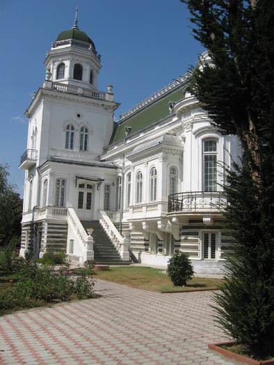 317 Muzeul de arta din Calafat