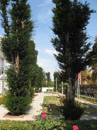 318 Muzeul de arta din Calafat