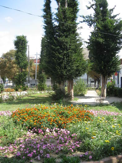 328 in curtea Muzeului de arta