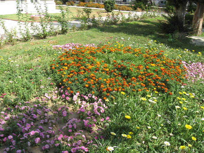 329 in curtea Muzeului de arta