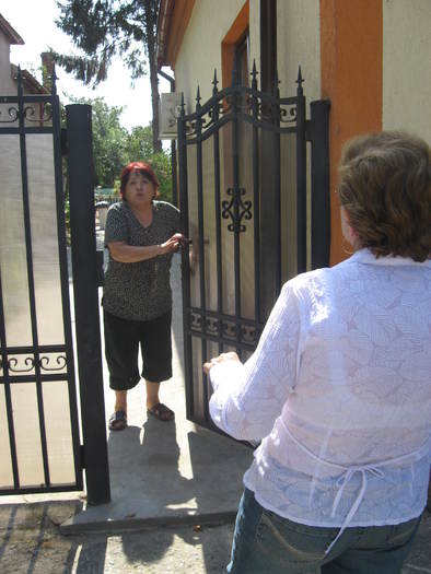 338 Violeta si Theia