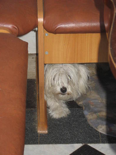 351 Ce bine m-am ascuns