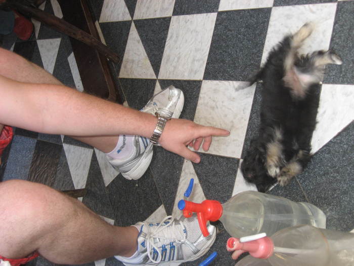 355 Cosmin si catelul