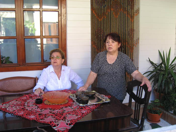 361 Theia si Violeta