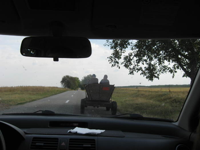 378 Din nou la Poiana Mare