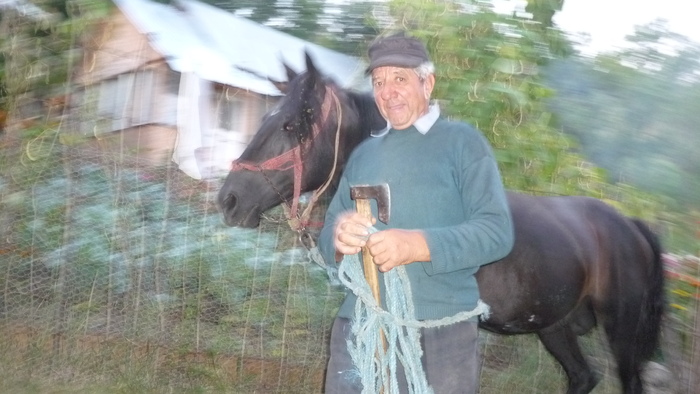 Calul Costel in 6 sept 2010 la Salcia