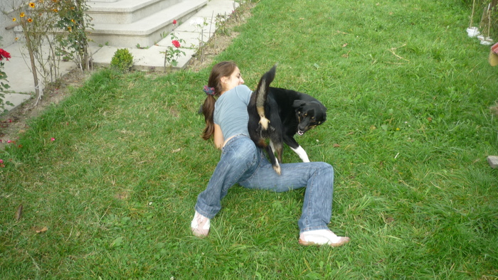 Ursei in 6 august 2010