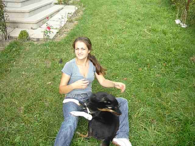 Ursei in 6 august 2010