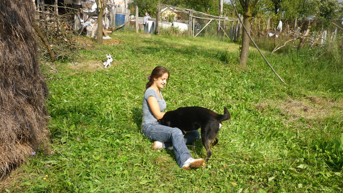 Ursei in 6 august 2010