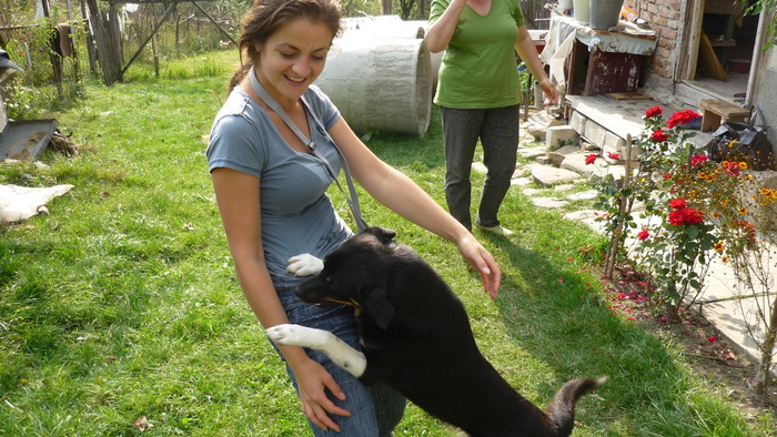 Ursei in 6 septembrie 2010