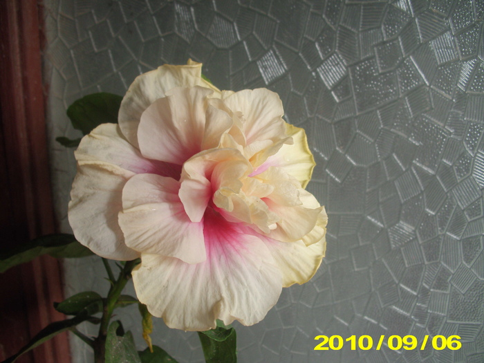 Picture 015