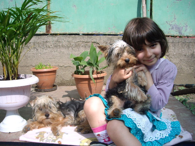 Daria si Yorky - familia