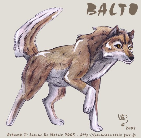 realistic-Balto-fanart - balto