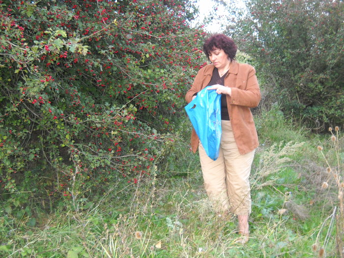 culeg paducel pentru... - MOMENTE IMORTALIZATE