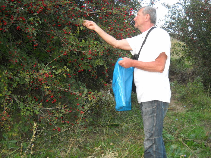 Bundu la cirese - MOMENTE IMORTALIZATE