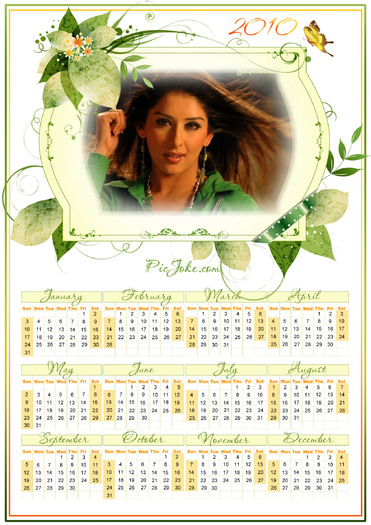 calendar12 - Calendare cu actori indieni