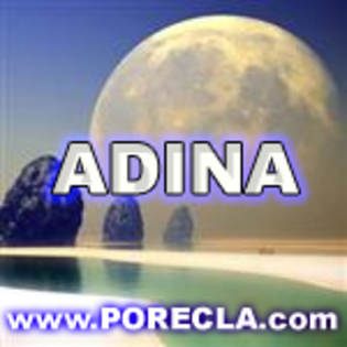 504-ADINA avatare 2010 noi; superr
